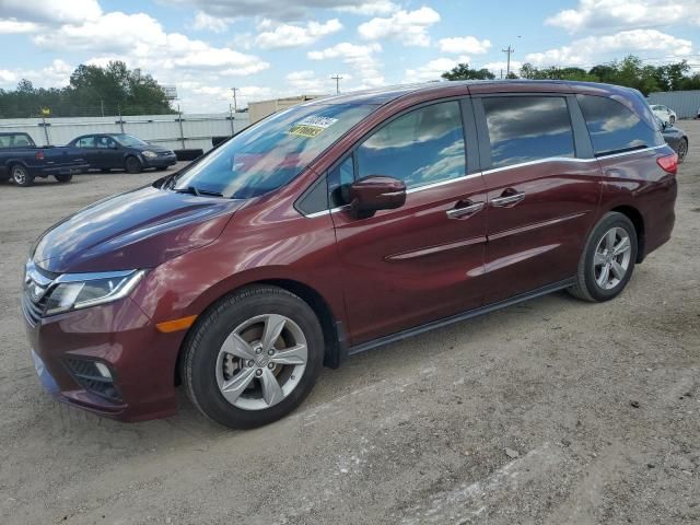 2019 Honda Odyssey EXL