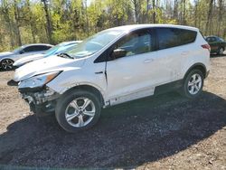 Salvage cars for sale from Copart Bowmanville, ON: 2016 Ford Escape SE
