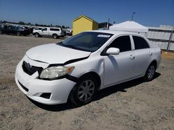 Salvage cars for sale at Sacramento, CA auction: 2010 Toyota Corolla Base