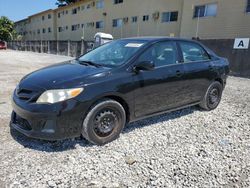 Salvage cars for sale from Copart Opa Locka, FL: 2012 Toyota Corolla Base