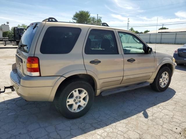 2007 Ford Escape XLT