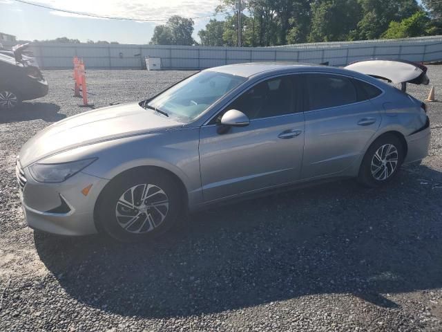 2022 Hyundai Sonata Hybrid