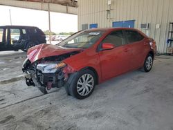 Salvage cars for sale from Copart Homestead, FL: 2019 Toyota Corolla L