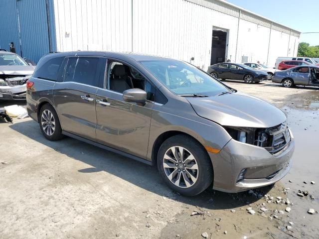 2021 Honda Odyssey EXL