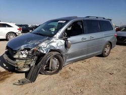 Salvage cars for sale at Amarillo, TX auction: 2006 Honda Odyssey EXL