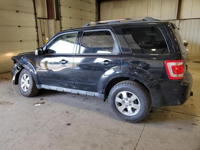 2010 Ford Escape Limited