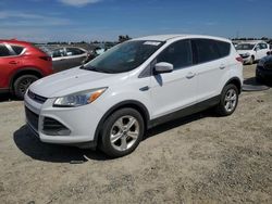 Salvage cars for sale from Copart Antelope, CA: 2013 Ford Escape SE