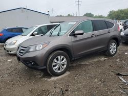Salvage cars for sale at Columbus, OH auction: 2013 Honda CR-V EX
