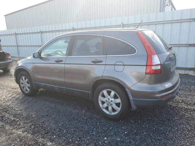 2011 Honda CR-V SE