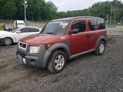Salvage cars for sale at Finksburg, MD auction: 2005 Honda Element EX