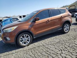 Salvage cars for sale at Colton, CA auction: 2017 Ford Escape SE