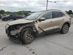 Ford Escape salvage cars for sale: 2020 Ford Escape Titanium