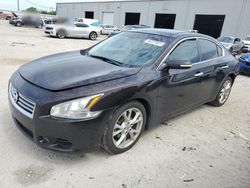 Salvage cars for sale at Jacksonville, FL auction: 2014 Nissan Maxima S