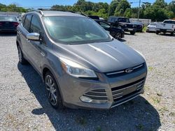 Salvage cars for sale at Lebanon, TN auction: 2014 Ford Escape SE