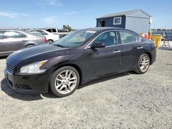 Salvage cars for sale at Antelope, CA auction: 2011 Nissan Maxima S