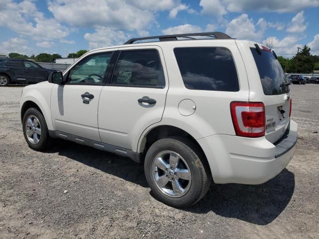 2010 Ford Escape XLT