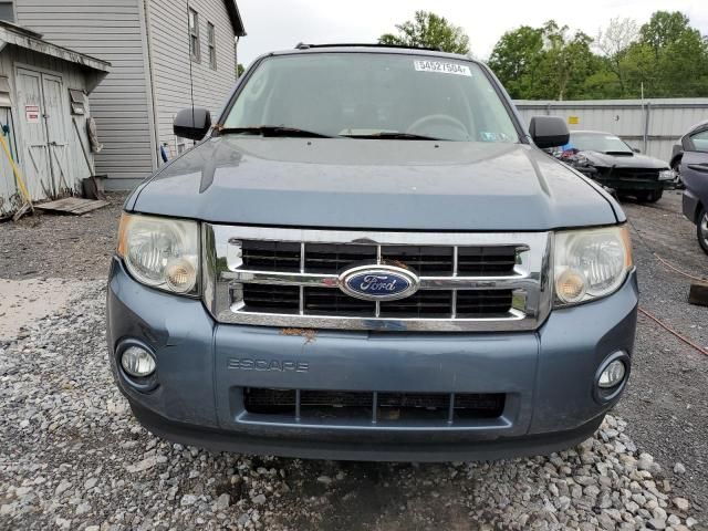 2011 Ford Escape XLT