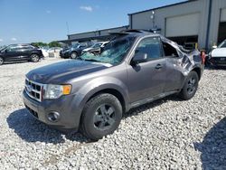 Carros salvage a la venta en subasta: 2011 Ford Escape XLT