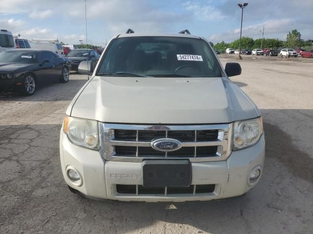 2008 Ford Escape XLT