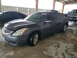 Salvage cars for sale at Homestead, FL auction: 2010 Nissan Altima Base