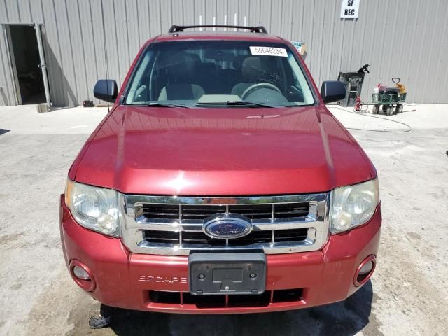 2008 Ford Escape XLT