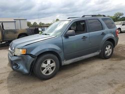 Salvage cars for sale at Florence, MS auction: 2010 Ford Escape XLT