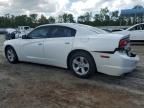 2013 Dodge Charger SE