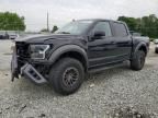 2019 Ford F150 Raptor