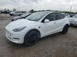 Salvage cars for sale at Indianapolis, IN auction: 2023 Tesla Model Y