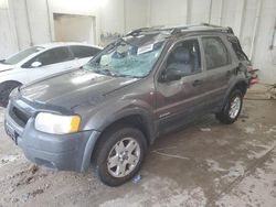Salvage cars for sale at Madisonville, TN auction: 2002 Ford Escape XLT