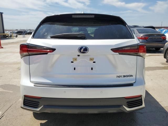 2020 Lexus NX 300H