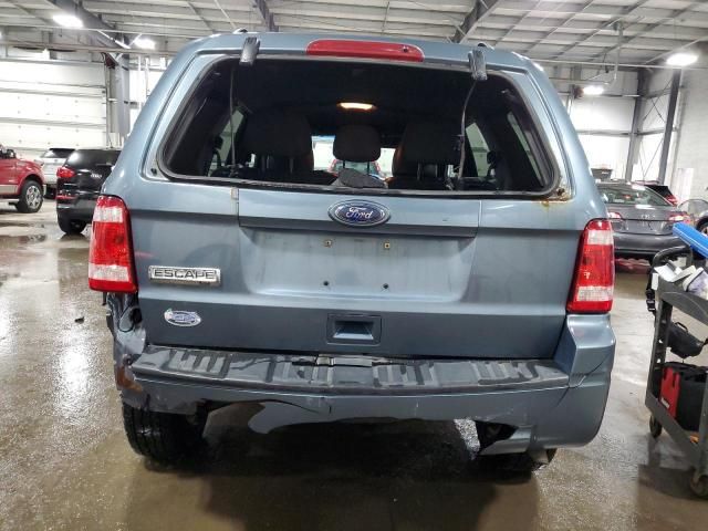 2010 Ford Escape XLT