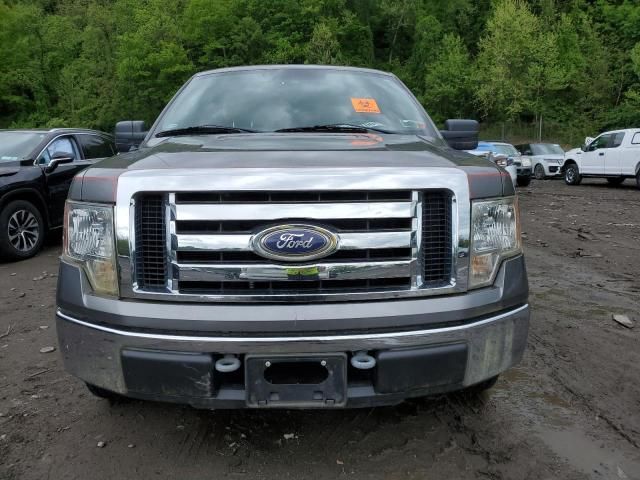 2010 Ford F150