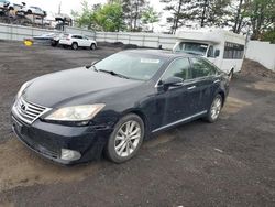 Salvage cars for sale from Copart New Britain, CT: 2010 Lexus ES 350