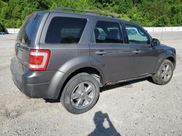 2009 Ford Escape XLT