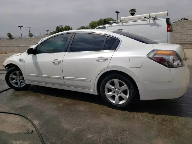 2010 Nissan Altima Base