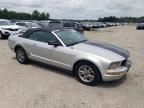 2005 Ford Mustang