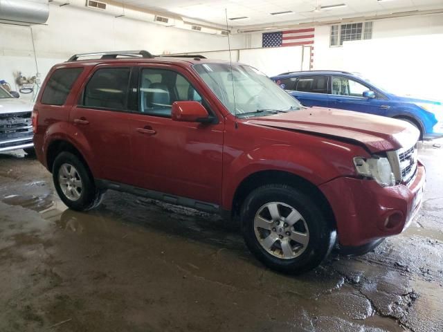 2011 Ford Escape Limited