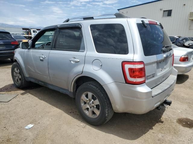 2011 Ford Escape Limited