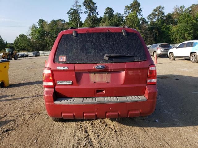 2010 Ford Escape XLT