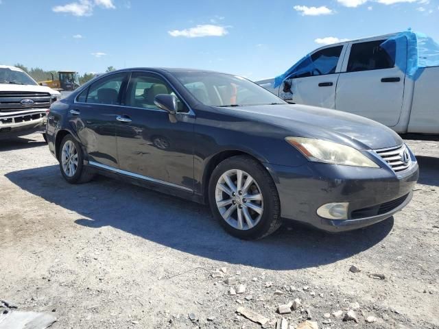 2010 Lexus ES 350