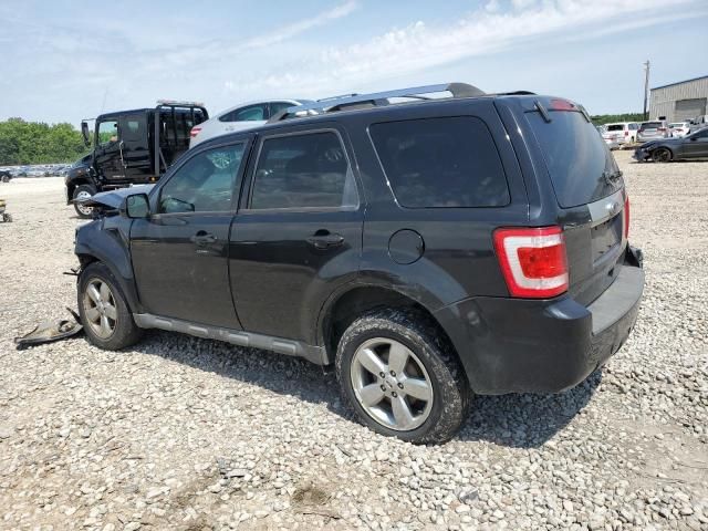 2011 Ford Escape Limited