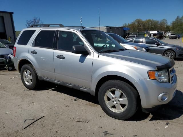 2011 Ford Escape XLT