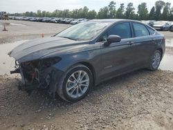 Ford Fusion se salvage cars for sale: 2019 Ford Fusion SE