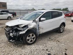 Ford Escape salvage cars for sale: 2013 Ford Escape SE