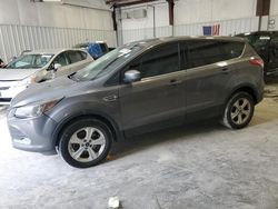 Salvage cars for sale at Franklin, WI auction: 2014 Ford Escape SE