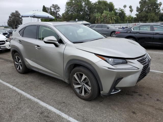 2021 Lexus NX 300H Base