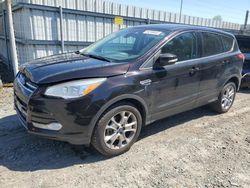 Salvage cars for sale at Arlington, WA auction: 2013 Ford Escape SEL