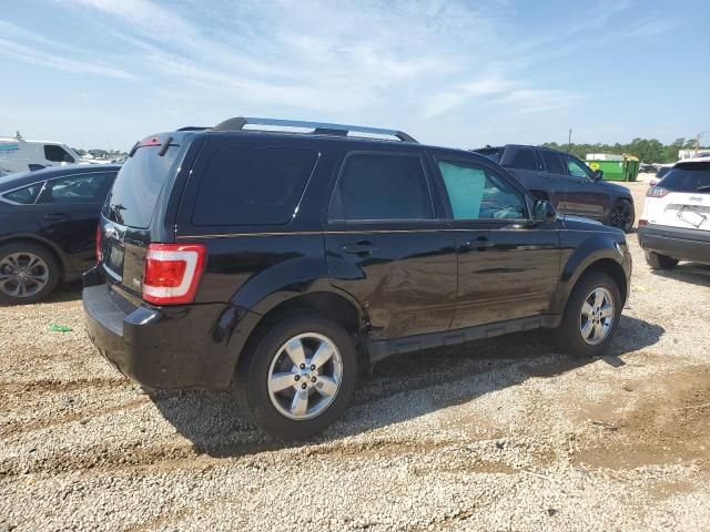 2010 Ford Escape Limited