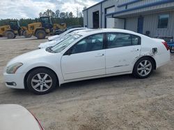 Salvage cars for sale at Harleyville, SC auction: 2005 Nissan Maxima SE